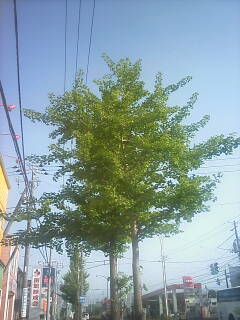 2010-06-15_07-21.jpg