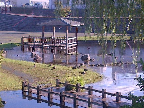 Hakodate-Shi-20120912-00146.jpg